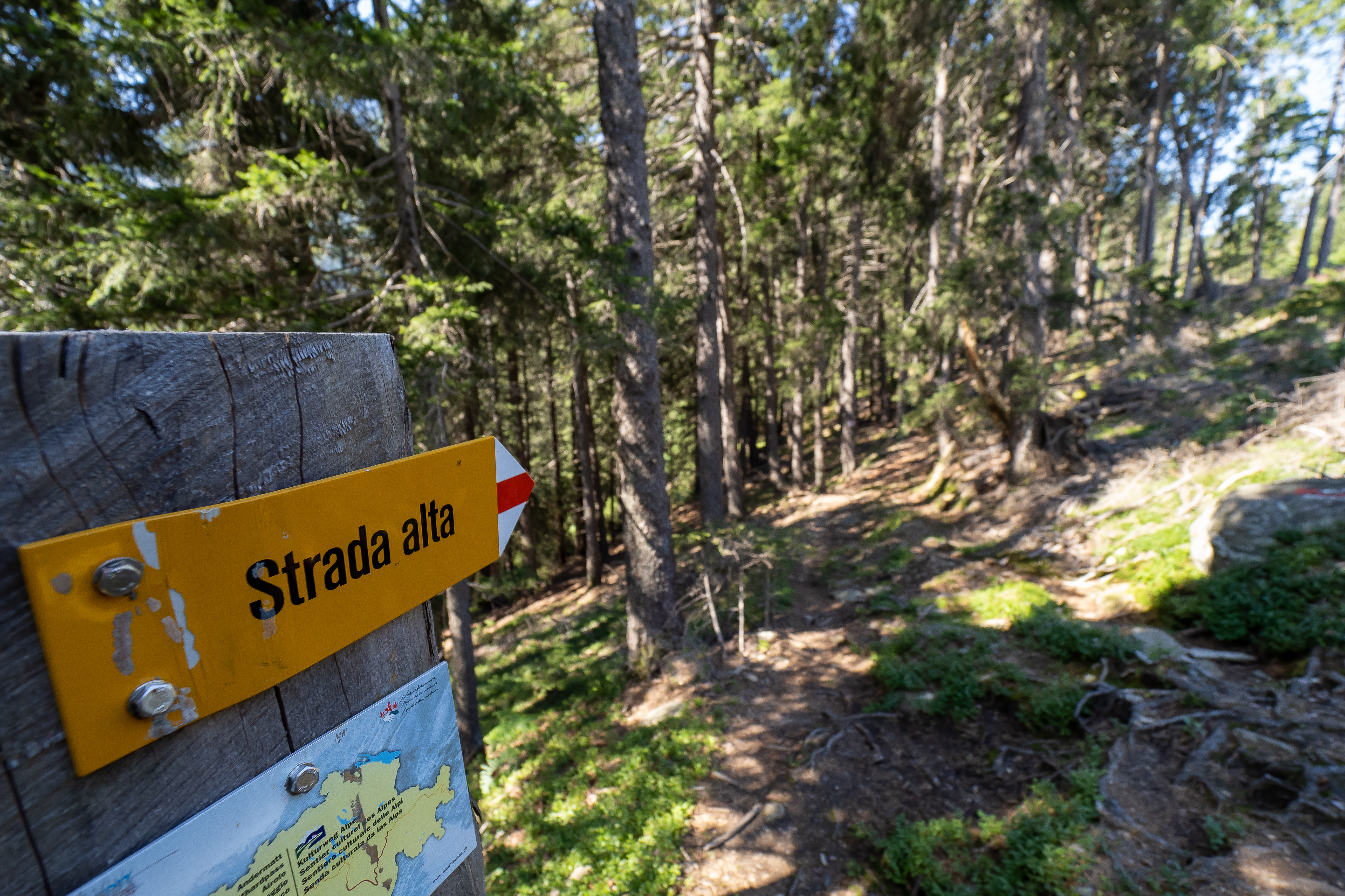 Bildband Wanderland Schweiz 2: Trans Swiss Trail & Via Gottardo